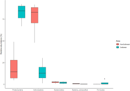 16s Rrna Amplicon Sequencing Of Bagworm Metisa Plana Walker Lepidoptera Psychidae Biorxiv