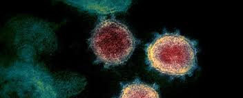 Fda Gives Emergency Use Authorization For Regeneron Covid 19 Treatment