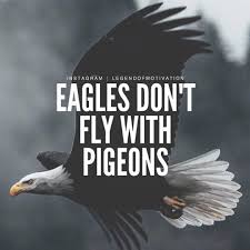 Meaningful Birds Of A Feather Flock Together Quotes Don T Be Afraid Being Out Numbered Eagles Fly Alone Pigeons Flock Together Legendofmotivation Turn On Post Notificat Sketch Quotes Classy Quotes Eagles