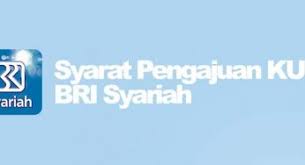 Fasilitas ini diberikan oleh bank pembangunan multilateral dan bilateral, seperti ibrd. Pinjaman Lunak Lunik Bank Lampung 2021 Pinjaman Online