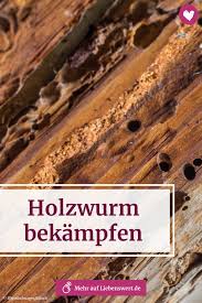 Holzwurm Bekampfen So Werden Sie Die Holzschadlinge Los In 2020 Holzwurmer Bekampfen Holzwurm Holz