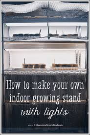We did not find results for: How To Make Your Own Indoor Grow Light Stand The House Homestead
