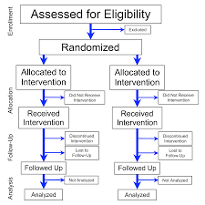 File Flowchart Of Phases Of Parallel Randomized Trial