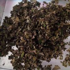 Sebelum mulai pastikan diri anda bersih dan berwudhu. Resep Cara Pembuatan Teh Daun Bidara Rumahan Oleh Bunga Mey Cookpad