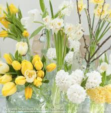 Un bouquet di tulipani bianchi e gialli è sempre ad importarlo in europa verso la metà del xvi secolo fu l'ambasciatore fiammingo ogier ghislain che ne consegnò alcuni bulbi ai giardini reali olandesi. Floriana Selection Bulbose A Fiore Profumato 100 Bulbi Floriana Bulbose