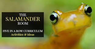 A salamander is an amphibian with a slender body and a long tail. The Salamander Room Our Five In A Row Experience