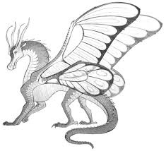Joy Ang S Drawing Of A Silkwing This Pic After A Few Edits I M Sure Will Go On The Guide At The Beginning Wings Of Fire Dragons Wings Of Fire Fire Drawing