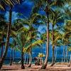 Samples of amazing nature ultra hd 4k wallpapers. Https Encrypted Tbn0 Gstatic Com Images Q Tbn And9gctblk1qaif78kozk42j Huk9r7ka5tw9dnsc277gqpfeogkz5qk Usqp Cau