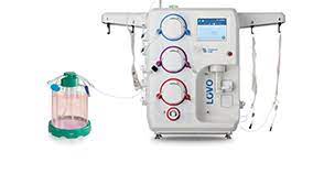 Webinar Lovo And G Rex All In One Cell Processing Culture And Harvest By Asgct 2020 Annual Meeting