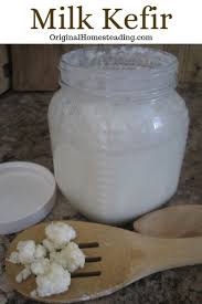learn to make homemade milk kefir a