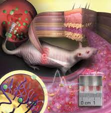 Check spelling or type a new query. Tattoo Made Of Gold Nanoparticles Revolutionizes Medical Diagnostics
