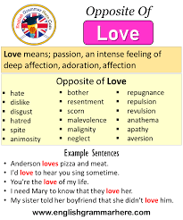 Opposite Of Love Antonyms Of Love Meaning And Example Sentences Antonym Opposite Words Contradict Each Other And Opposite Words Learn English Words Antonyms