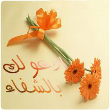أراد بها مصنفها ابن سينا أن يغطي كل ما شملته علوم ما بعد الطبيعة في ذلك الوقت، و يتألف من خمسة مجلدات ، الأول عن الإلهيات ، والأربعة الباقية عن. 2
