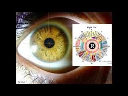 A Number Of Iridology Overviews Using Bernard Jensen Dr