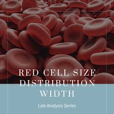 Image result for Red Cell Distribution Width