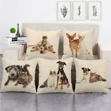 Come disegnare figure umane, copiare volti di donne, animali, dettagli del viso, figure umane in movimento, esempi di disegni e bozze da copiare e completare. Cuscini Animali Acquisti Online Su Ebay