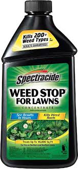 10 Best Weed Killers June 2021 Buyer S Guide And Reviews