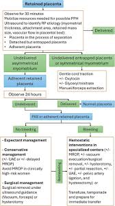 Image result for Retained Placenta