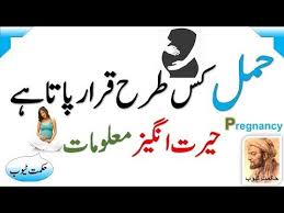 Ladki pregnant kaise hoti hai in urdu. Pin On Attiullah