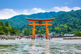 Image result for Sehima