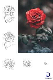 Dessins Difficiles Pour Les Debutants Dessin Rose Comment Dessiner Une Fleur Dessin