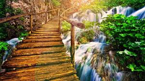 We did not find results for: Beautiful Bridge Nature Free Download Wallpaper Nature And Landscape Wallpaper Better