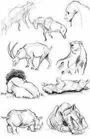 Life Drawing Sketches Sketches Animal Sketches Animal Drawings