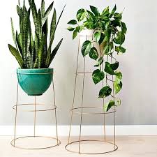 Ikea Satsumas Hack Google Search Estandes De Plantas Plantas Dentro De Casa Jardim Diy