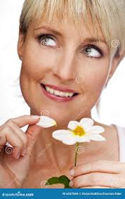 287,805 Daisy White Flower Stock Photos