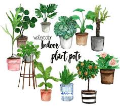 Indoor Plant Pot Cliparts Watercolor Clipart Plant Clipart Etsy Indoor Plant Pots Plant Illustration Plants
