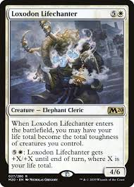 Image result for Loxodera