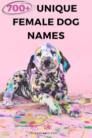 The female dog naming ideas you'll see below are a breed unto themselves. 700 Unique Female Dog Names For 2021 Puppy Names Unique Cute Girl Dog Names Unique Female Dog Names