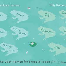 I solicited my friends on facebook in order to get an idea of what koreans were naming their animals. 100 Names For Pet Frogs And Toads