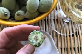 Maybe you would like to learn more about one of these? Green Almonds Stewart Jasper Orchards