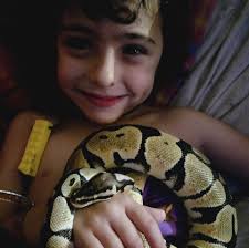 Which is preferred, belly heat or overhead heat for ball pythons?