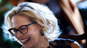 Jurnalistul american tucker carlson contestă cele trei măști propuse de fauci și testul pcr pentru a călători cu avionul. Kyrsten Sinema S Victory In Arizona May Be The Democrats Biggest Win Of The Trump Era The New Yorker