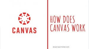 How to cheat on a canvas proctored exam. How Does Canvas Detect Cheating Essays Any Time