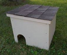 If they come out for a visit. Neighborhood Cats How To Tnr Feral Cat Winter Shelter