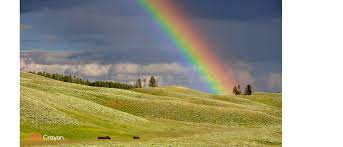 Who was saint patrick, and why do we celebrate this holiday? 20 Free Spring Backgrounds For Microsoft Teams Crayon