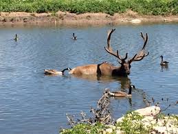 Hours may change under current circumstances I Have To Admit I Was Pleasantly Shocked When I Saw Cody Park I Did Not Expect To Find Such An Amazing Park In The Middle Of North North Platte Park Nebraska