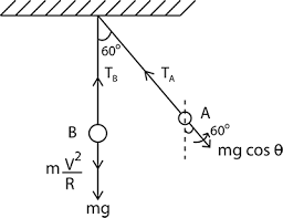 A simple pendulum of length ' l ' carries a bob of mass ' m '. If the breaking  strength of the string is 2 mg . The maximum angular amplitude from the vertical  can be: