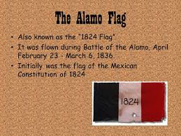 Image result for alamo flag