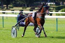 Téléchargement rapide des mises à jour avec telecharger.com. Driver De Courses De Trot Attelee Et Montee Metier Et Formation