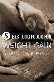 Maybe you would like to learn more about one of these? Pin On Best Of K9 Of Mine