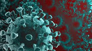 The illness, which spreads mainly though close contact with an infected person. Bmel Fragen Und Antworten Faq Coronavirus Fragen Und Antworten