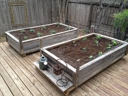 There are endless designs, sizes, and also tons of wood choices. Raised Garden Beds Made From Old Fence Wood Vegetable Garden Raised Beds Raised Garden Raised Garden Beds