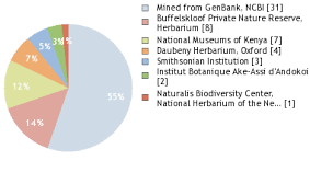 Image result for Rytigynia sp. M