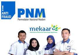 Pnm meekar dengan posisi account officer. Lowongan Kerja Di Permodalan Nasional Madani Penempatan Soloraya Purwodadi Dan Blora Area Manager Kepala Cabang Senior Account Officer Koordinator Pengawas Pengawas Auditor Account Officer Finance Administration Officer Portal