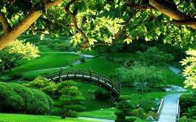 2560x1600 garden flower wallpapers background beautiful free hd for desktop source · spring garden background hd backgrounds pic. Best 44 Garden Desktop Backgrounds On Hipwallpaper Beautiful Garden Wallpapers Garden Wallpaper And Flower Garden Wallpaper