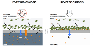 What is osmotic pressure in plants. Water Filtration By Fo And Ro Forwardosmosistech